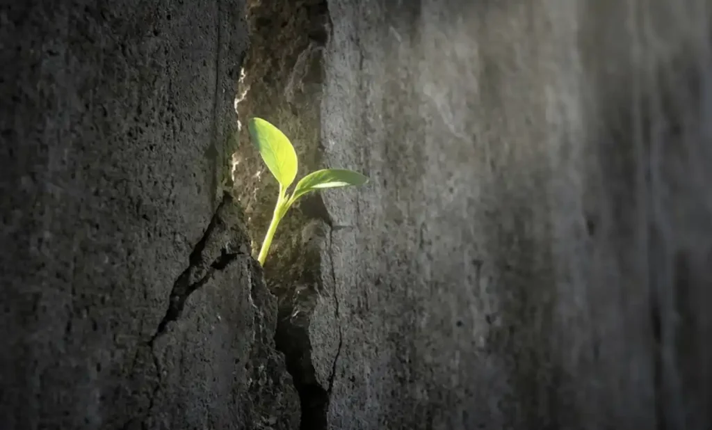 Blogspot SEO 2026 seo